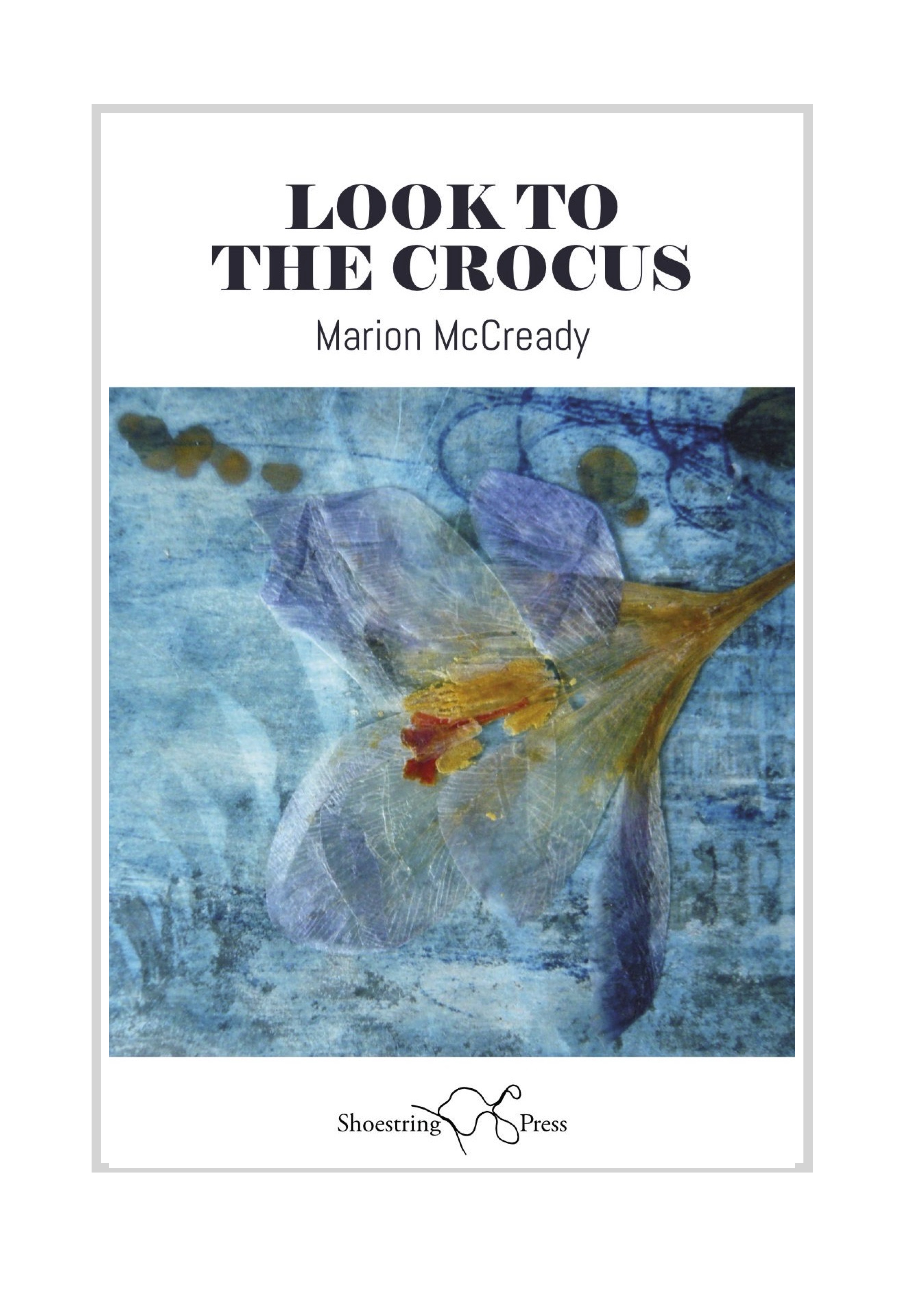 DESIRE AND THE BODY: On ‘Look To the Crocus’ by Marion McCready